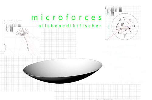 microforces Nils Benedikt Fischer