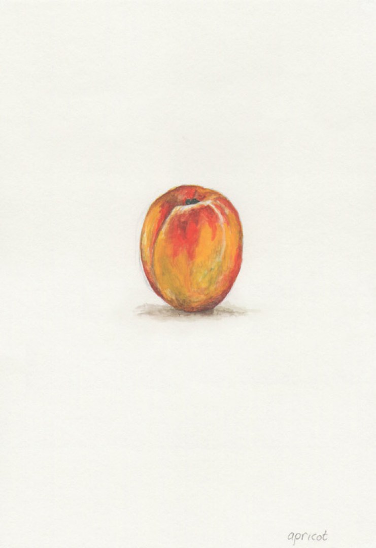 dave_ball_atoz_apricot2